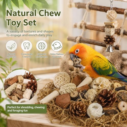 NOLITOY Natural Bird Toys for Conures: Parakeet Toys Parrot Foraging Wood Chewing Blocks & Hanging Bell Pendant Stick, Parrot Foraging Interactive Bundle for Macaw Small-Medium Birds