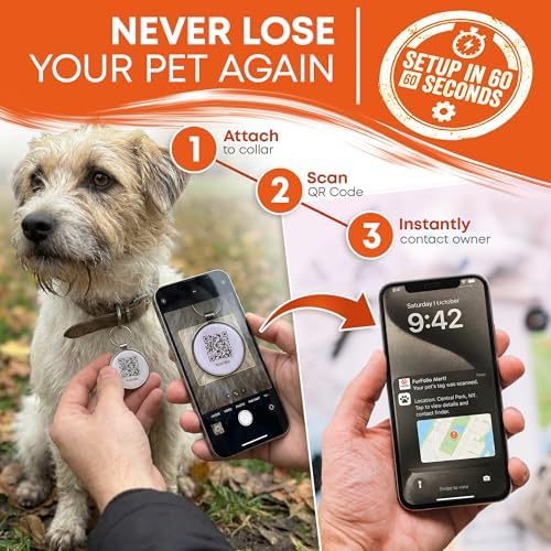 QR Code Dog Tag for Dogs & Cats – Smart Pet ID Tag – Scan to Contact Owner – No Subscription – Lost Pet Protection