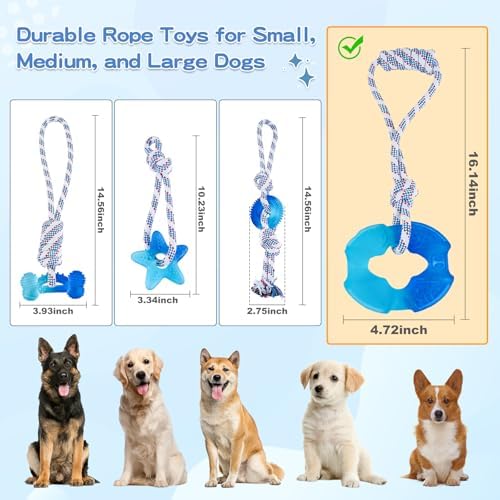 Dog Chew Toys for Aggressive Chewers, Multiple Textures & Rope, ndestructible Tough Durable Interactive Dog Toys, Puppy Chew Toys for Teething， The Large Blue Circle