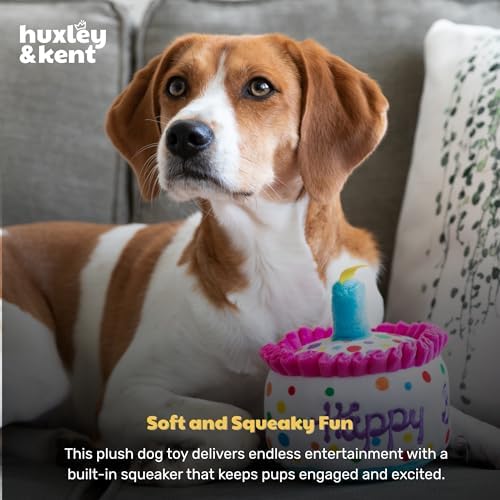 Huxley & Kent Power Plush Squeaky Dog Toy, Happy Barkday Cake, Small