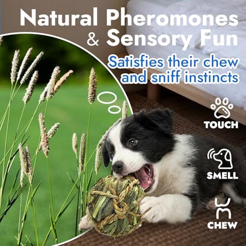 Natural Dog Chew Toy, 1pcs Woven Grass Chew Ball for Dogs, Dental Teething Toy & Interactive Fetch Toys, Outdoor Rattan Digestible Chew Ball for Boredom Relief - Seaweed & Timothy Hay