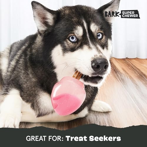 BarkBox Treat Caster Potion Dog Toy - for Large Dogs