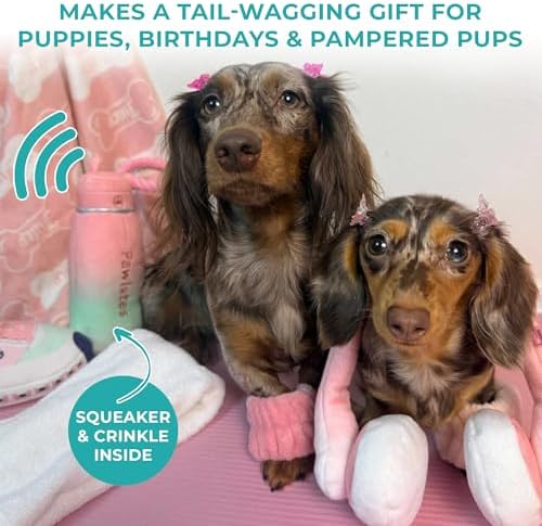 Haute Diggity Dog Pawlates Princess Water Bottle Plush Dog Toy Funny Parody