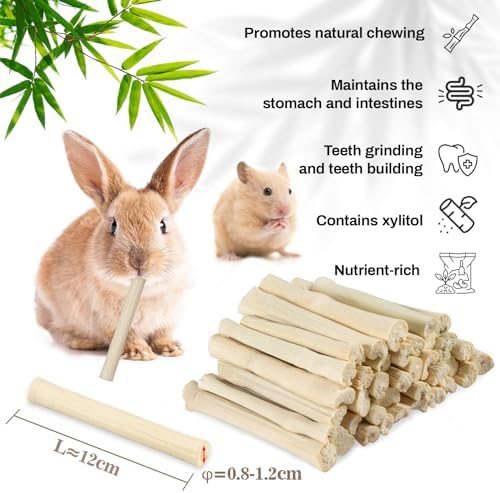 Sukh 320g Sweet Bamboo Chew Sticks - Natural Rabbit & Chinchilla Chew Toys