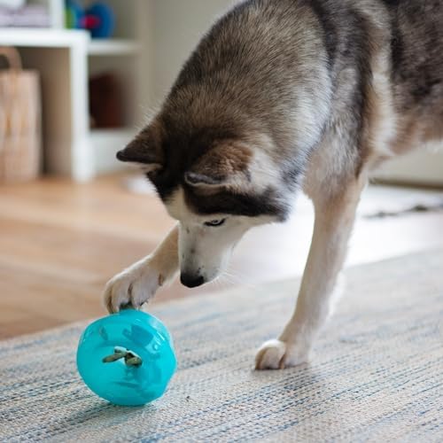 Messy Mutts Stuff n Wobble Ball, 5 Inch, Treat Dispensing Toy