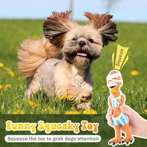 Silipull 3 Pcs Squeaky Rubber Chicken Dog Toys Latex Chew Toys, Cool