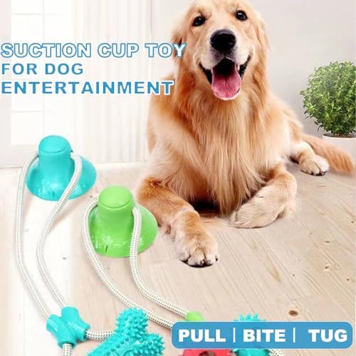 Dog Chew Suction Cup Tug of War Toy, Interactive Dog Toy, Puppy Teething Toys, Chew Toy (Blue Upgrade)