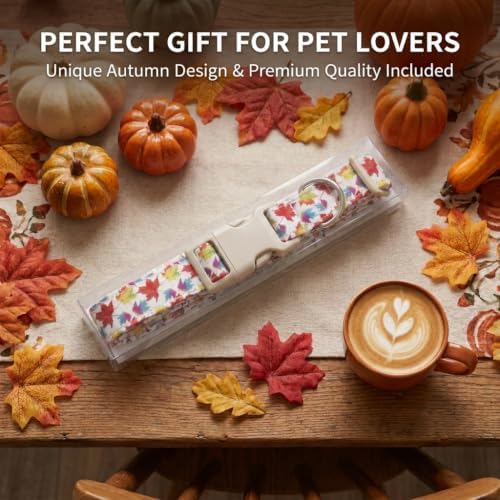 Fall Dog Collar, Puppy Collar for Extra Small Breeds, XS