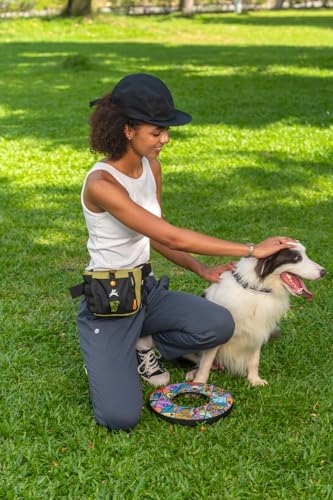 OllyDog Backcountry Day Bag | Dog Training Treat Pouch | Eco-Friendly Recycled Fabric Fanny Pack with Zipper Closure, Built-in Poop Bag Dispenser & Adjustable Waist Belt (Alchemy)