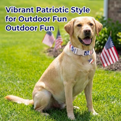American Flag Dog Collar, Patriotic Dog Collar for Boys Girls Dog, Adjustable Puppy Collar with Star Pattern for 4th of July Occasion & Daily Walking, Fits Small Breeds
