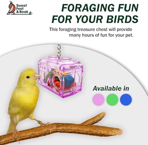 Treasure Chest Toy - Puzzle & Foraging Toys for Birds - Durable Plastic Bird Foraging Box w/ Colorful Wooden Shapes - Parrot Puzzle Toys - Small & Large Bird Toys for Cockatiels, Lovebirds & More