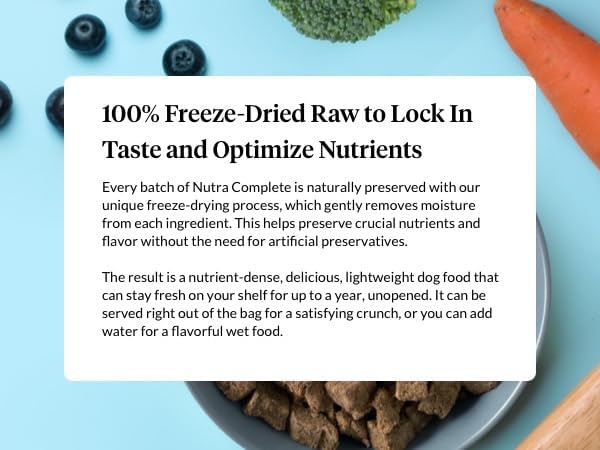 ULTIMATE PET NUTRITION Nutra Complete, 100% Freeze Dried Veterinarian Formulated Raw Dog Food with Antioxidants Prebiotics and Amino Acids, (1 Pound, Beef)