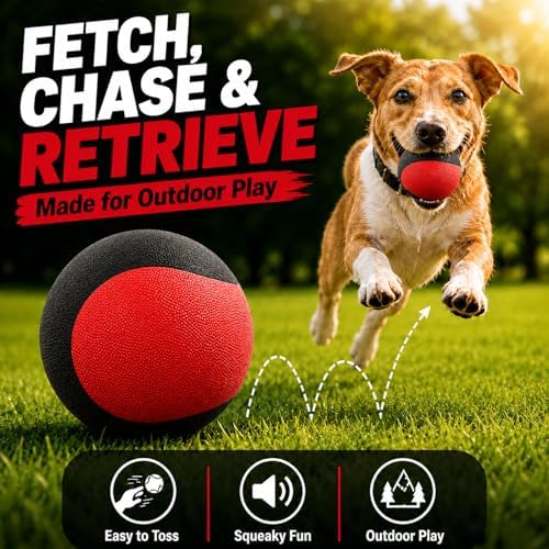 Squeaky Balls for Dogs, Interactive Rubber Fetch Toy for Small Medium Dogs