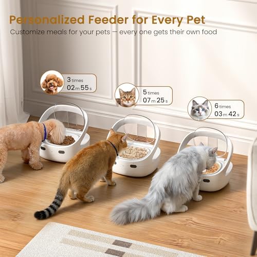RFID Cat Feeder with Raised Stand, Collar Tag Access for Multi-Cat Homes