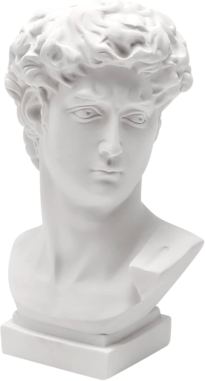 David Statue Greek Head Vase Bust Face Vase Head Retro Decor, Sculpture Brush Holder Bust, Makeup Brushes Container Pen Holder, 25CM