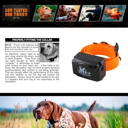 DT Systems H2O 1810, 1820, 1830 Plus Series Add-On/Replacement Collar Receiver, Waterproof Rechargeable Remote Hunting Dog Training Additional E-Collar, 1800-Yard Range, 16 Stimulation Levels, Orange