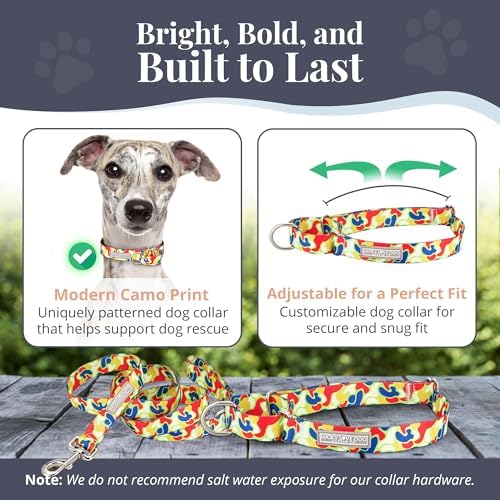 Lucky Love Dog Martingale Collar & Leash Set No Slip Cute – Oscar, Medium