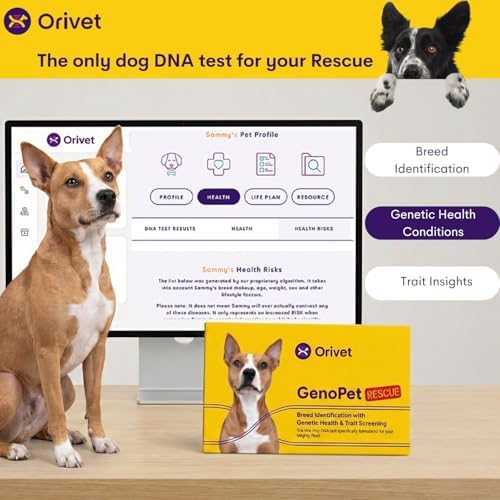 ORIVET GenoPet Rescue Dog DNA Test, Breed ID, Health, Easy At-Home Swab Kit | Results in 3-5 Weeks