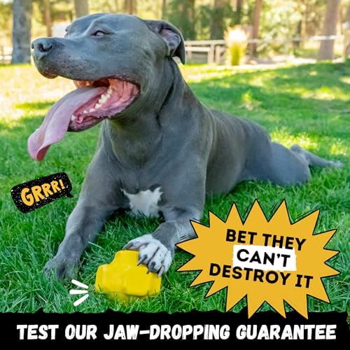 Indestructible Jumping Jack Chew Toy - Lifetime Replacement - Durable Dog Toy for Aggressive Chewers - Safe, Non-Toxic Natural Rubber - Interactive, Chew & Fetch - Tough, Heavy Duty - 4.5”
