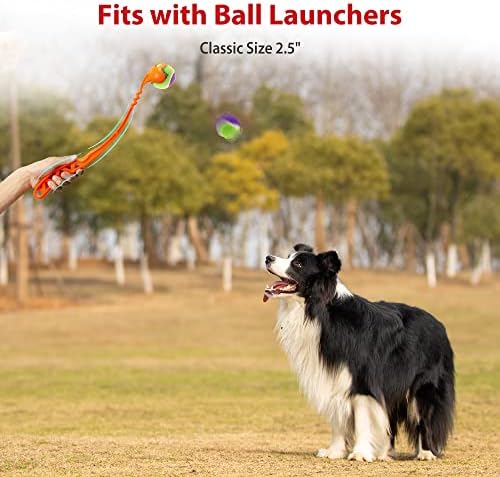Gigwi Squeaky Dog Tennis Balls, 5 Pack Elastic Interactive Toy for Dogs