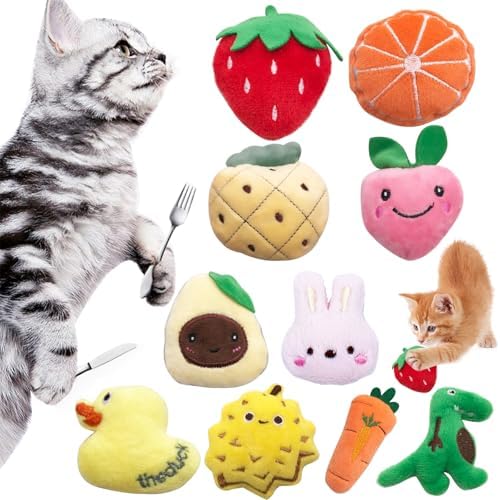 Mini Cat Catnip Toys for Indoor Cats 10 Pack