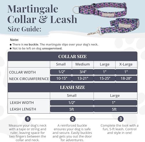 Lucky Love Dog Martingale Collar & Leash Set No Slip Cute – Primrose, Small