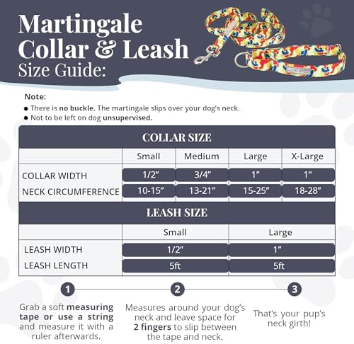 Lucky Love Dog Martingale Collar & Leash Set No Slip Cute – Oscar, Medium