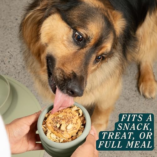 Should We Go? Interactive Dog Enrichment Toy with Freezer Plug, BPA-Free Silicone Puzzle Dog Freeze Bowl & Treat Dispenser for Mental Stimulation, Ideal for Kibble & Frozen Licks, Fits 10 oz, Medium