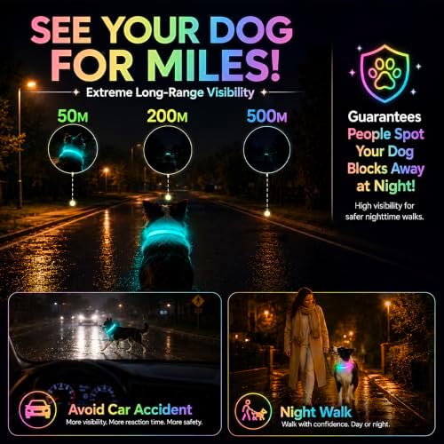 Multicolor LED Dog Collar USB-C Rechargeable, Light Up Dog Collar, Rainbow Gradient Glowing Dog Collar with 4 Light Modes, Adjustable Candy Mesh Pet Collar(Blue, Large)