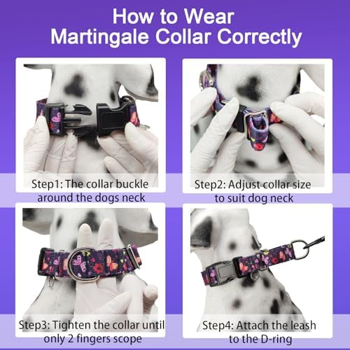 Martingale Collar for Dogs with Buckle No Pull, Purple Butterfly, M