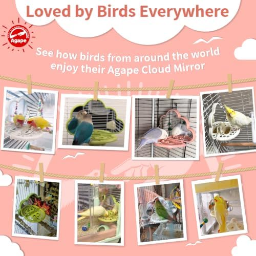 Agape Bird Mirror for Cage， Bird Toys with Perch and Slow Feeder to Expend Energy, Small Parrot Swing, Interactive Toys for Cockatiel, Lovebird, Parakeet, Conure, Finch, and Budgies