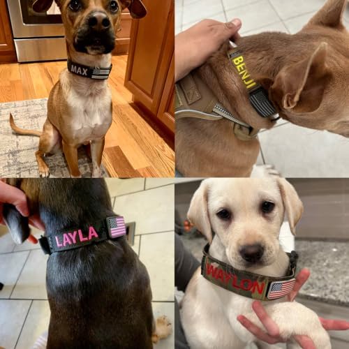 Personalized Tactical Dog Collar Name Phone Heavy Duty Nylon Handle