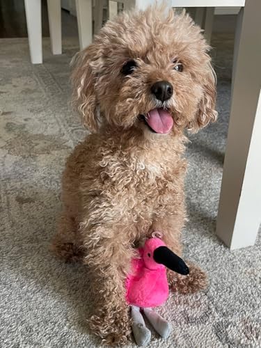 Glory To Dog TinyToy Plush Flamingo Small Dog and Puppy Toy