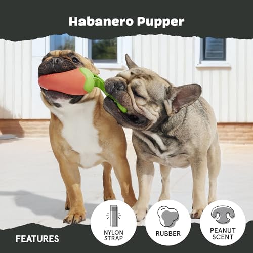 BarkBox Habanero Pupper Dog Toy - for Medium Dogs