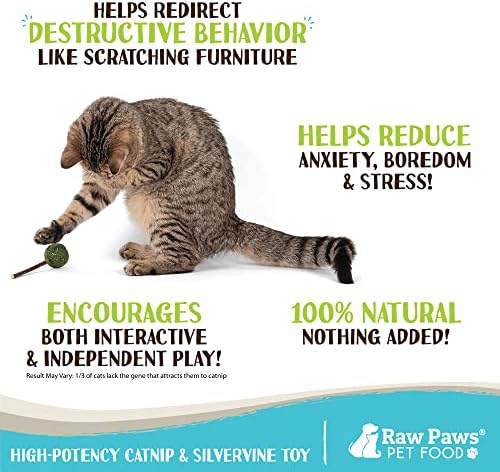 Raw Paws Catnip & Silvervine Lollipops Interactive Cat Toy 6 Pack - Sticks