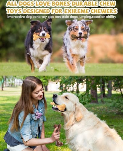 Aggressive Chew Toys, Nylon Bones, Indestructible Toys for Medium Large Dogs, Durable Tough Puppy Teething, Beef & Chicken Flavor (2pcs)