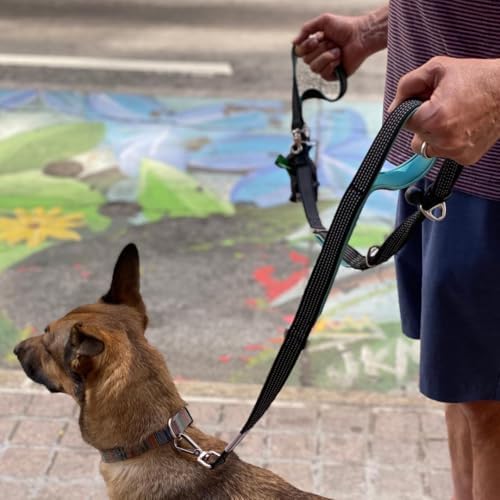 Dog Poop Bag Holder with Dispenser & Storage Pouch - Includes Adjustable Reflective Dog Leash (6FT Bungee, Padded Handles) - Durable Leash for Walking, Training & Travel (Aqua)