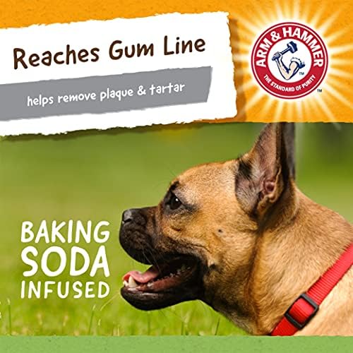 Arm & Hammer Nubbies T-Rex Dog Dental Chew Toy, Mint Flavor