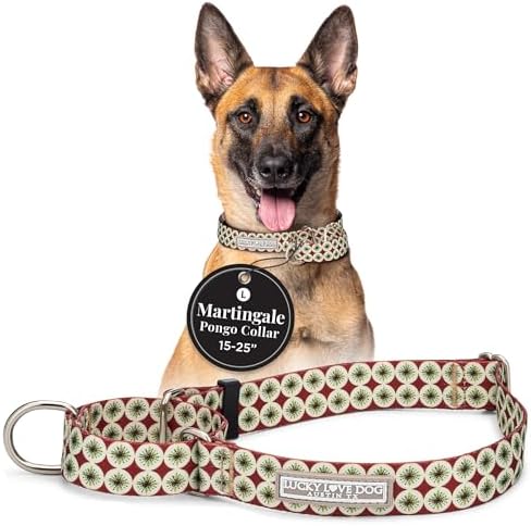 Lucky Love Dog Martingale Collar for Large Dogs No Slip Cute – Pongo, Large