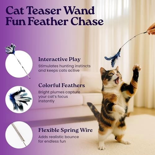 gameOFF Cat Grooming Kit 6 in 1, Include: Nail Clipper, Brush for Shedding, Wand Toy, Interactive Ball Toy, Bath Brush, Ear Cleaner Finger Wipes (30ct.), Cat Grooming Supplies, Kitten Supplies