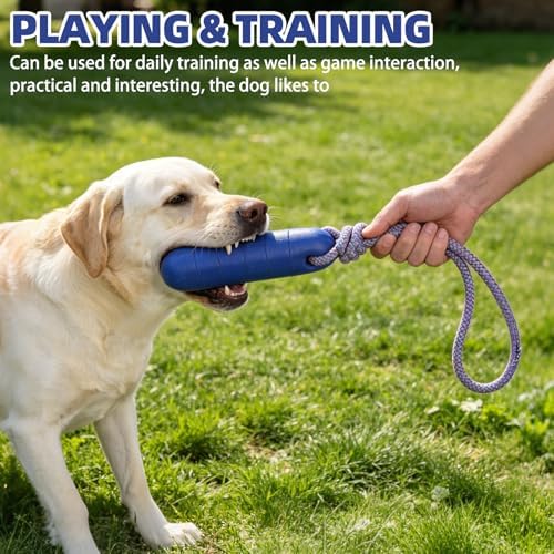 PUPTECK Interactive Dog Pool Toys Water Floating Toys Fetch Training Bumpers 4 Pack, Red Black Blue Green