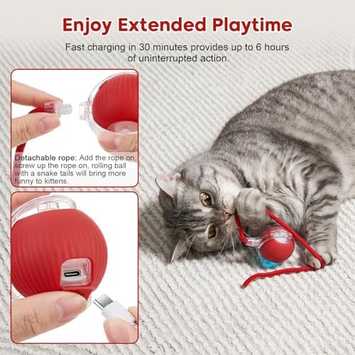 Interactive Dog & Cat Toy, Electric Automatic Rolling Moving Toys, Self Activated Play Smart Rolling Ball for Dogs & Cats, Chase Teaser Pet Ball for Bored Indoor Cats & Dogs
