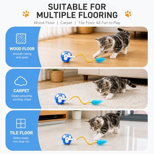 Cat Enrichment Toy, Chase Toy for Bored Indoor Adult Cats | cat feather toy|cat automatic toy|cat toys with bells|bouncy tails cat toysrechargeable cat toy