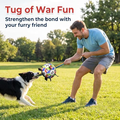 Dog Soccer Ball with Straps, 2026 World Cup Pet Soccer Ball Toy, Tough Herding Ball for Small & Medium Dogs, Interactive Training Toy for Indoor/Outdoor/Water Play, Durable Dog Toys (C, 8in)