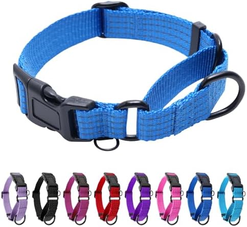 Martingale Dog Collar, Reflective No Pull with Buckle, Blue, L