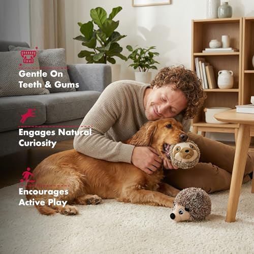 Pet Lou EZ Squeaky Ball Twin Pack, Hedgehog & Sloth Plush Dog Toys with Textured TPR Squeaky Core, Stuffing-Free Mesh-Reinforced Design, 4 Inch