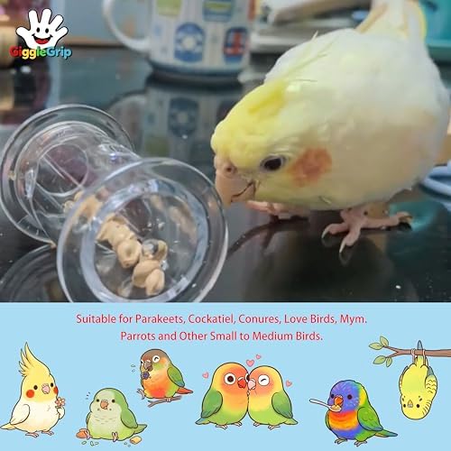 Bird Foraging Toys with Feeder Ball, Durable Plastic Parrot Training Puzzle & Interactive Treat Dispenser for Cockatiels, Conures, Parakeets, Budgies(Pack 3)