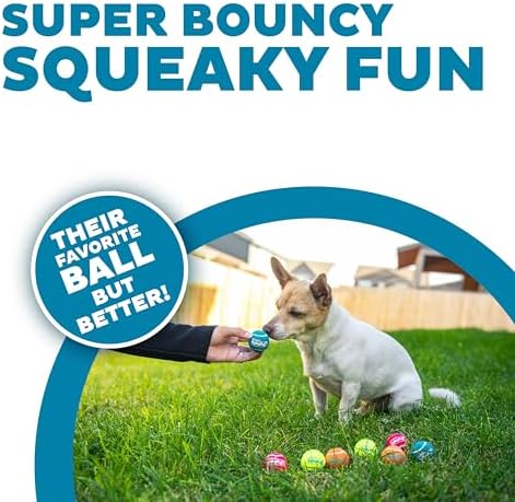 Outward Hound Squeaker Ballz Tennis Ball Dog Toy, X-Small, 1.5", 8-Pack | Squeaks & Bounces, Bright Colors, Interactive Fetch & Training, Indoor Outdoor, Moderate Chewers, Small Dogs (Under 15 lbs)