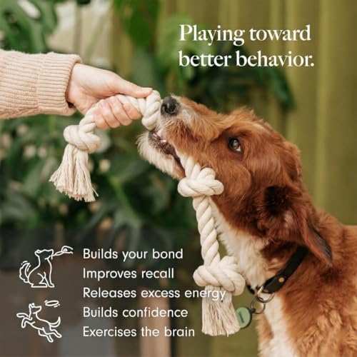 Tough Dog Rope Toy, 100% Natural Cotton, X Large - 3.3 Feet