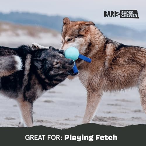 BarkBox Jelly Fetch Dog Toy - for Medium Dogs